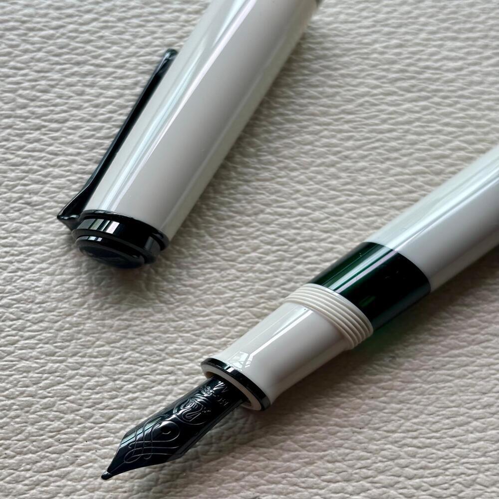 Pelikan M670 Warm Grey Fountain Pen Special Edition