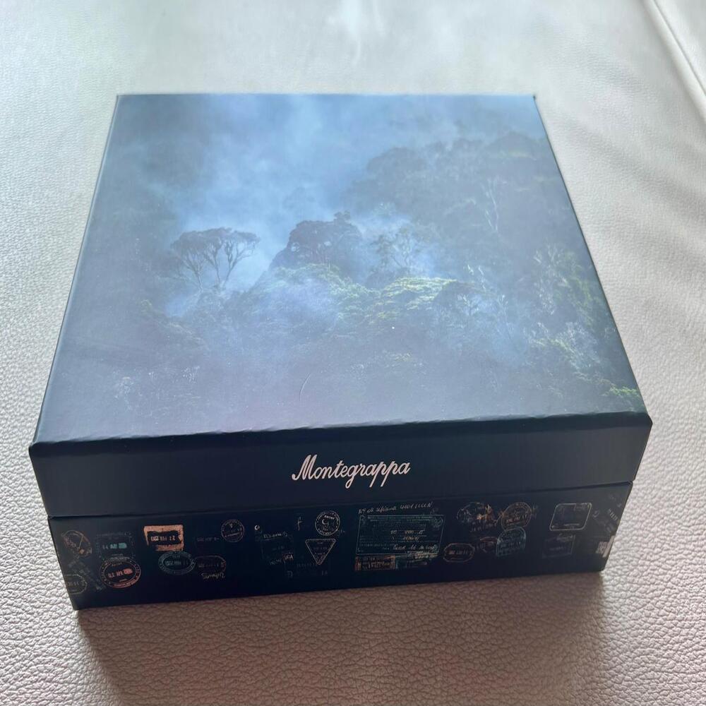 Montegrappa Limited Edition Wild Arctic Fountain Pen Solidarity