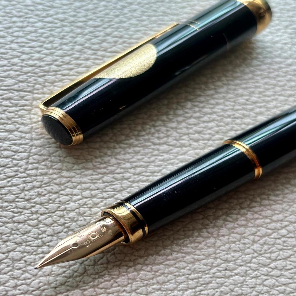Platinum Maki-e Slim The Moon and A Rabbit Fountain Pen 18k Gold nib.