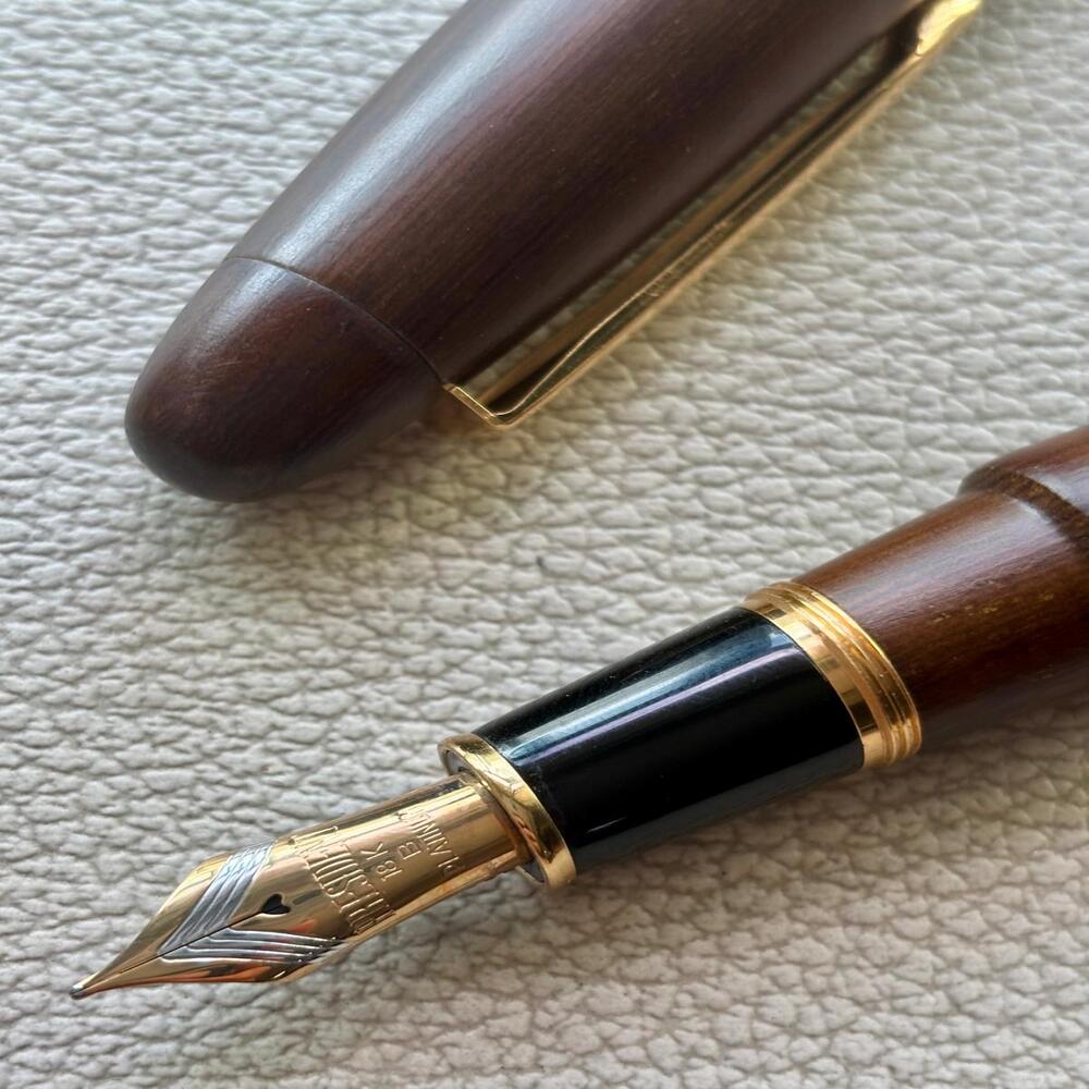 Platinum Izumo Tagayasan Matt Fountain Pen 18k Gold nib